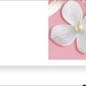 Meet your Posher, Marrrrr